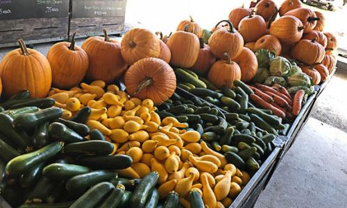 3 Ways To Celebrate Fall Harvest Time With Family & Friends!