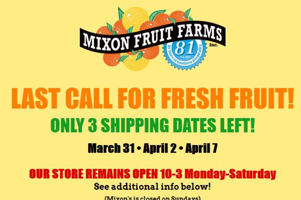 Mixon Fruit Farms in Bradenton, Florida- Last Chance to Order Oranges & Grapefruit “On-Line” Before Season is Over