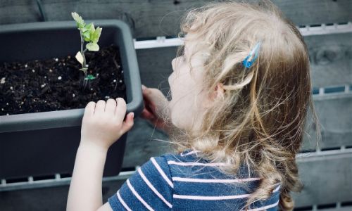 Gardens Give Back: Green-fingered children take care of the community