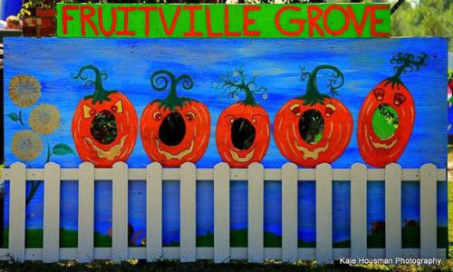 It’s Fall Y’all At Fruitville Groves