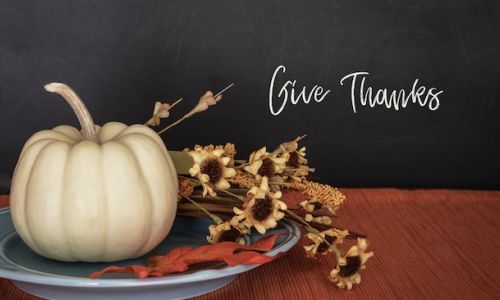 Thankful Week: An Attitude of Gratitude