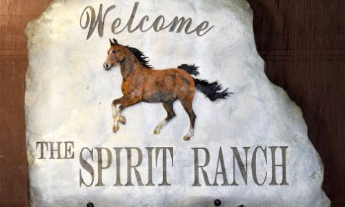 Spirit Ranch Sarasota Florida