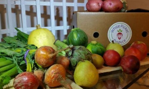 White Picket Produce CELEBRATES 3 years of organic Deliveries