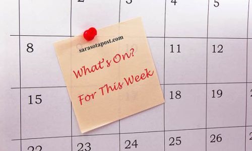 What’s On? Events On The Suncoast This Week, 11/10-11/17