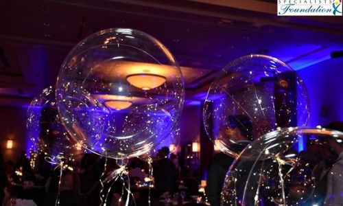 It Was a Spectacular “Party Under the Stars” Gala at the Hyatt Regency in Sarasota Raising Almost $358,000!