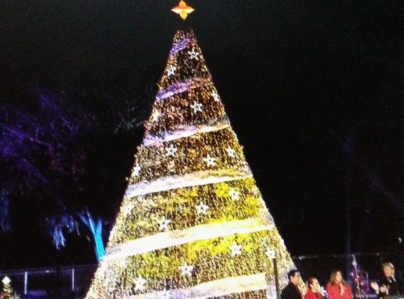 The National Christmas Tree and President with family 2019